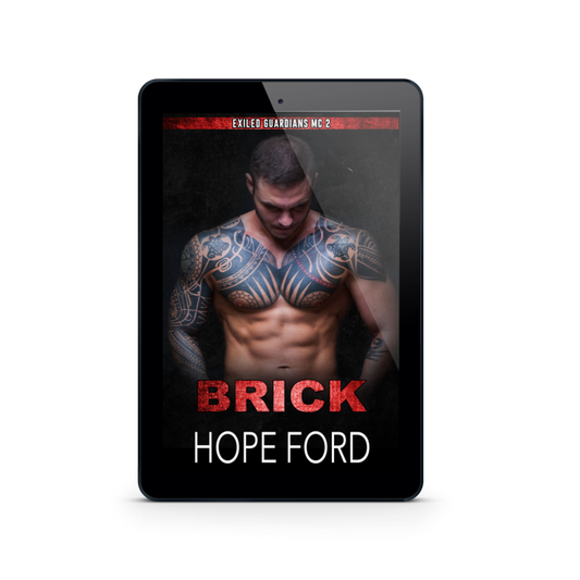 Brick - E-book